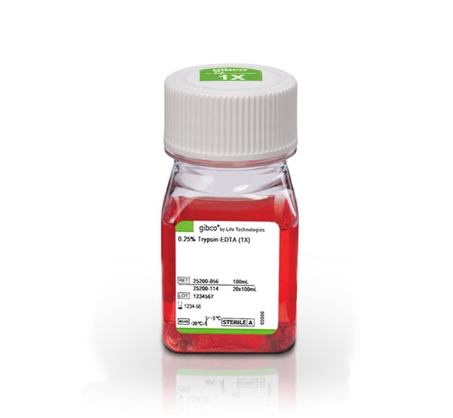25200-056 0.25%胰蛋白酶 进口实验试剂